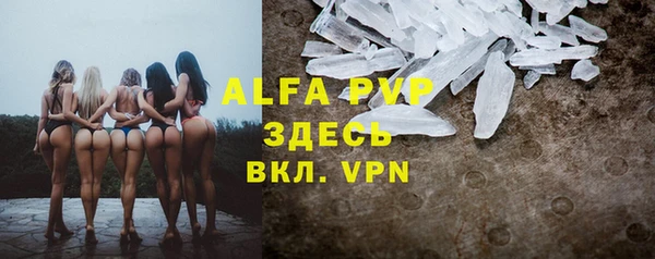 ПСИЛОЦИБИНОВЫЕ ГРИБЫ Заводоуковск