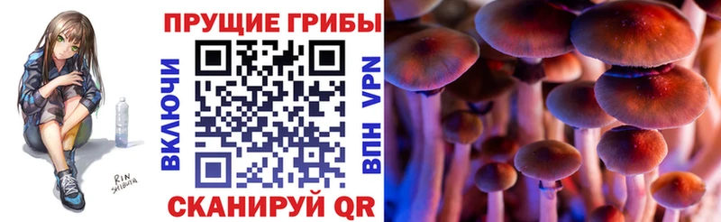 Псилоцибиновые грибы мухоморы  Купить  Клин 